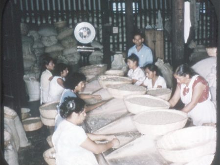 El Salvador - Central America - View-Master Single Reel - vintage - 549 For Sale