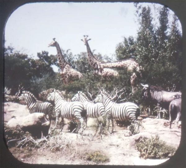 Adventureland - View-Master 3 Reel Packet - vintage - A177-S6C Online now