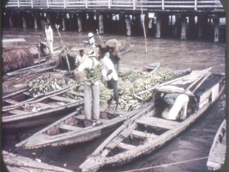 Paramaribo and Natives of Surinam - View-Master Single Reel - vintage - 691 Discount