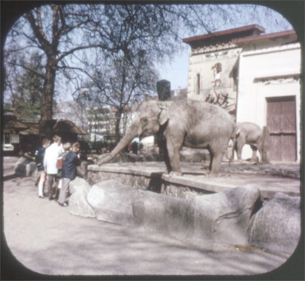 de Antwerpse Zoo d Anvers - View-Master 3 Reel Packet - vintage - C372N-F-BG1 For Sale