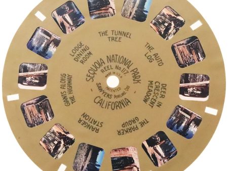 Sequoia National Park - California - View-Master Buff Reel - vintage - (BUF-117c) For Sale