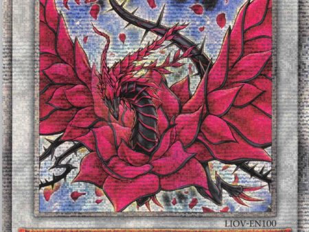 Black Rose Dragon [LIOV-EN100] Starlight Rare Online Hot Sale