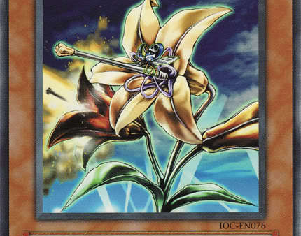 Anti-Aircraft Flower [IOC-EN076] Common Cheap